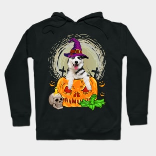 Cute Siberian Husky Witch Pumpkin Halloween Dog Lover Hoodie